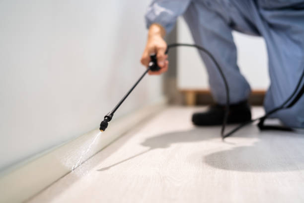 Licensed Pest Control service in Croswell, MI - Show Me Pest Control