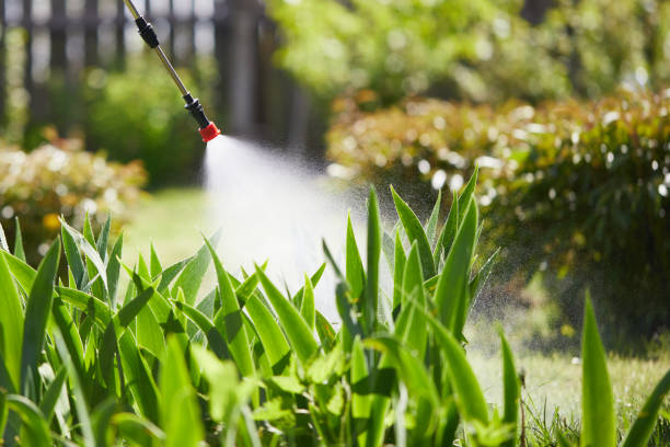 24/7 Emergency Ant Control experts in Croswell, MI